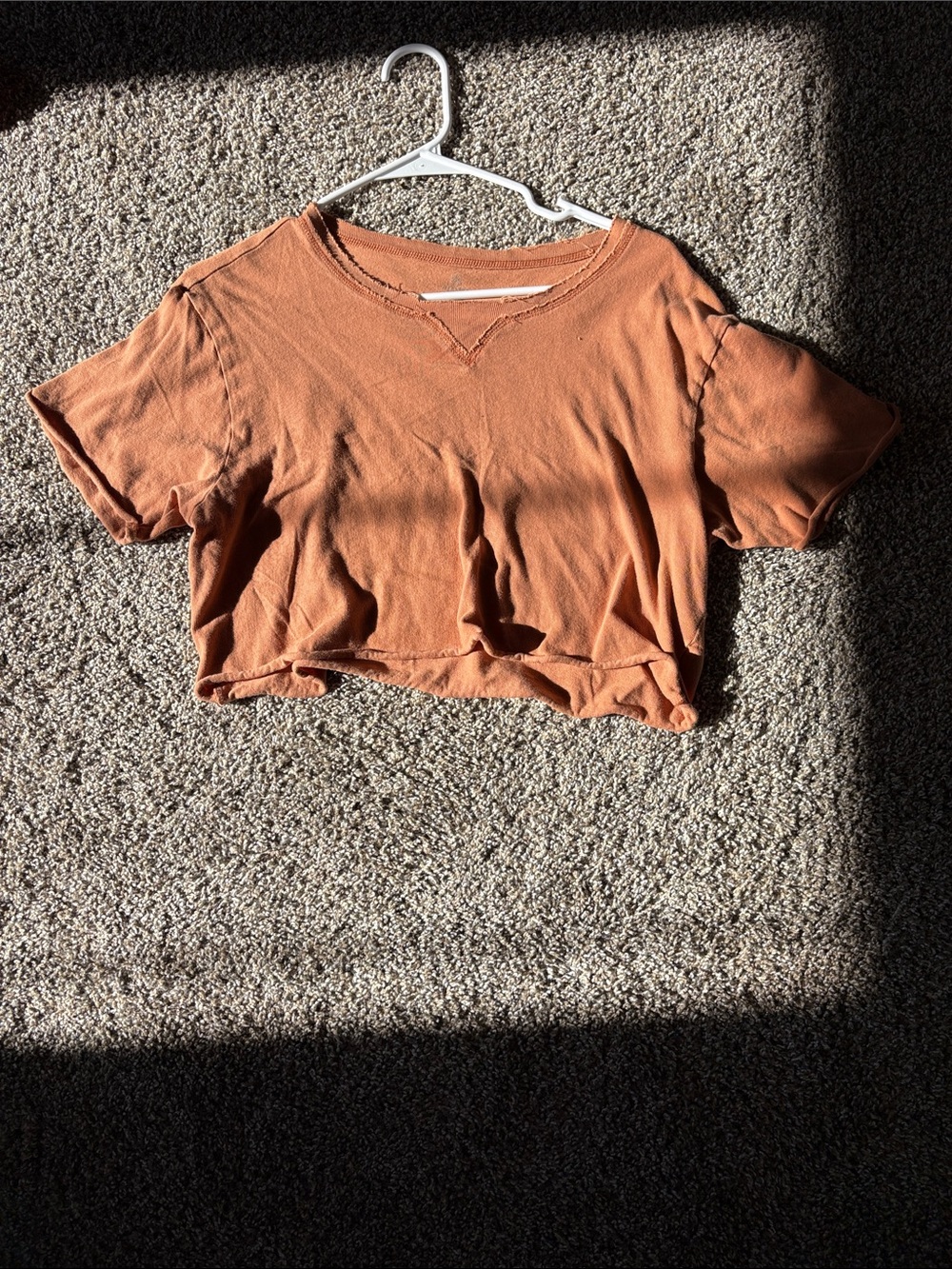 Washed Rust Crop V-Neck Tee